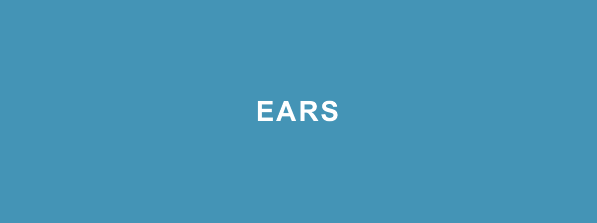 EARS – Easy Approach to Requirements Syntax